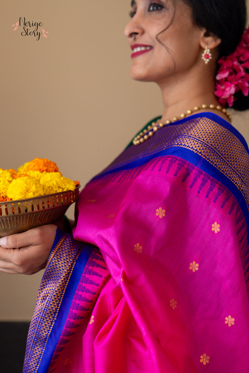 HANSARANJANA (హంసరంజన)
