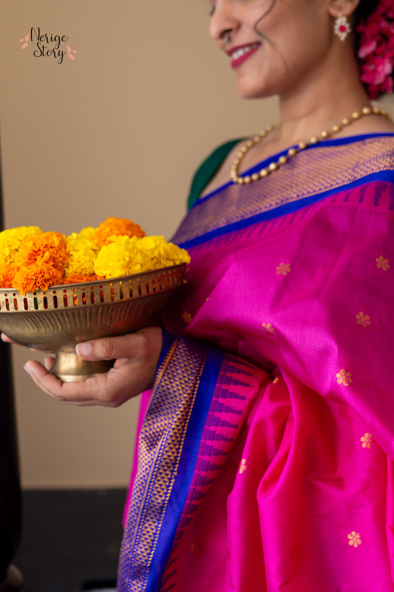 HANSARANJANA (హంసరంజన)