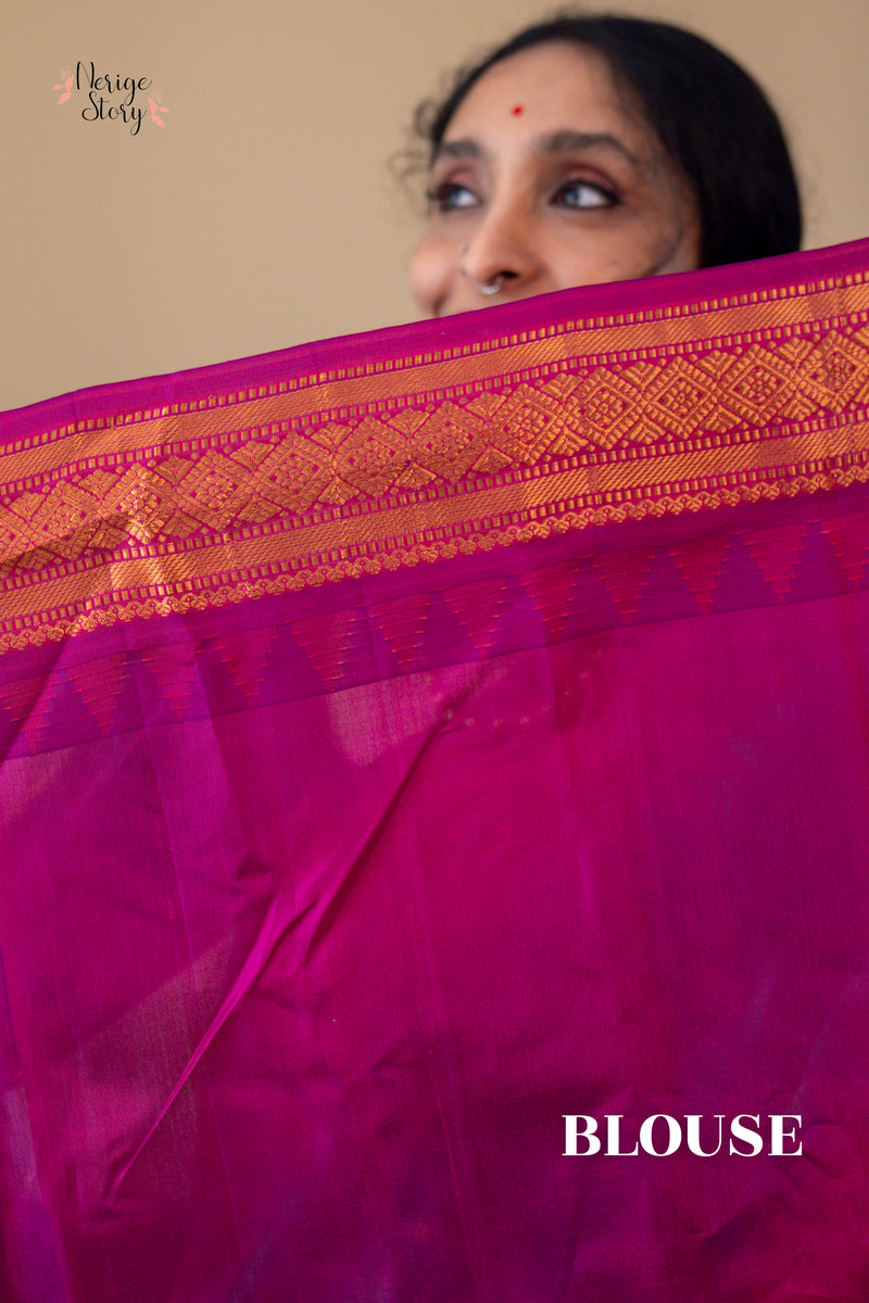 VAYUSUNDARI (వాయుసుందరి)