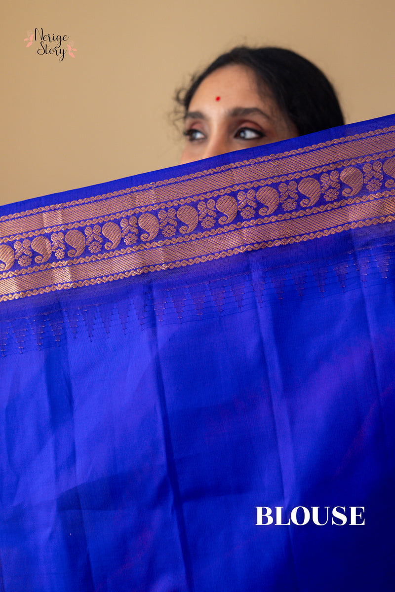 HANSAMUKHAA (హంసముఖా)