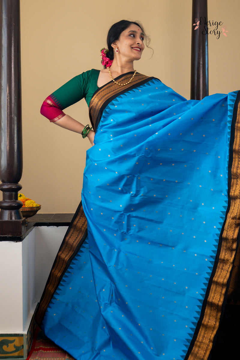 SHAARAVINEELA (శారవినీలా)