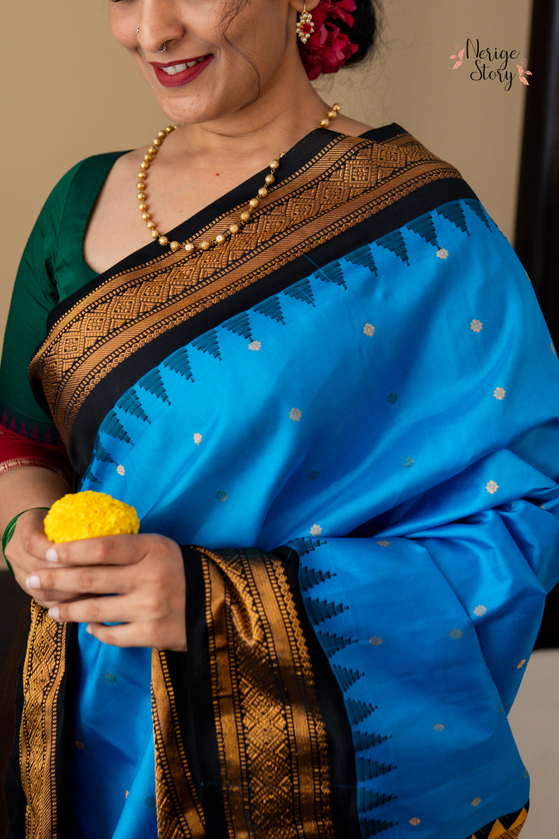 SHAARAVINEELA (శారవినీలా)