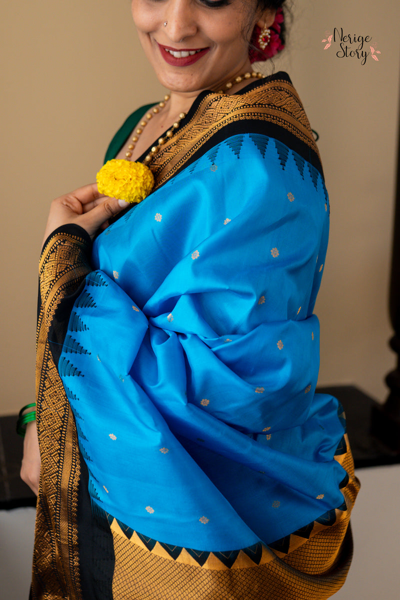 SHAARAVINEELA (శారవినీలా)