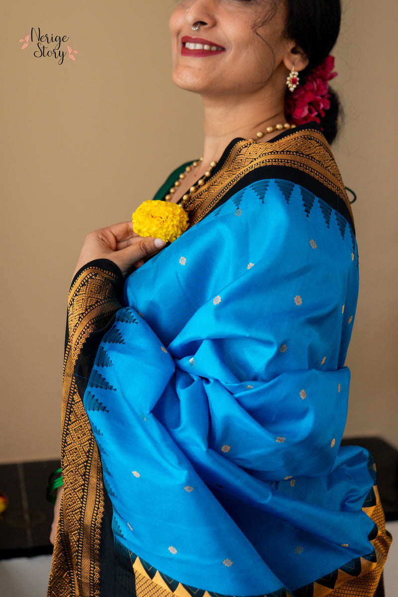 SHAARAVINEELA (శారవినీలా)