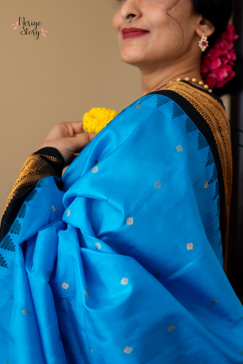 SHAARAVINEELA (శారవినీలా)
