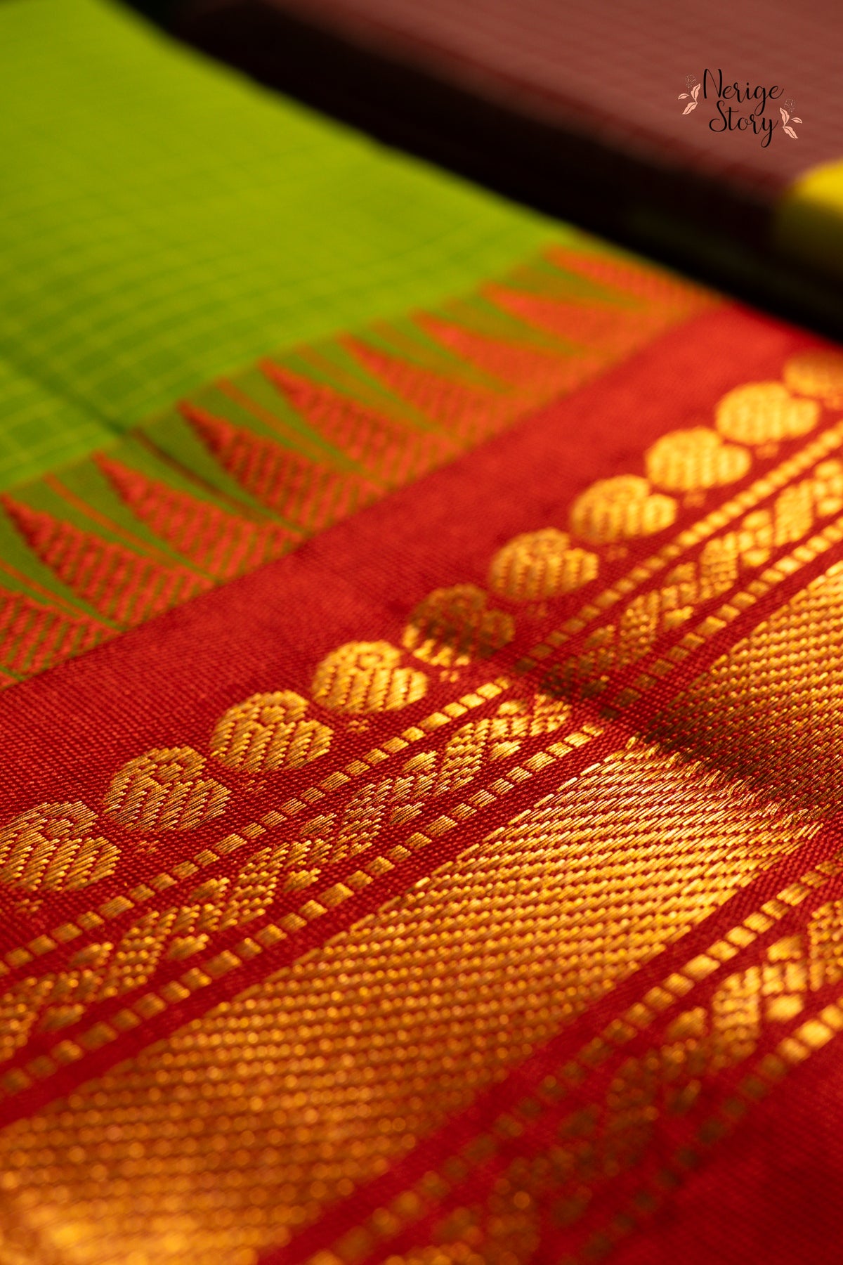 NARAYANI (నారాయణి)