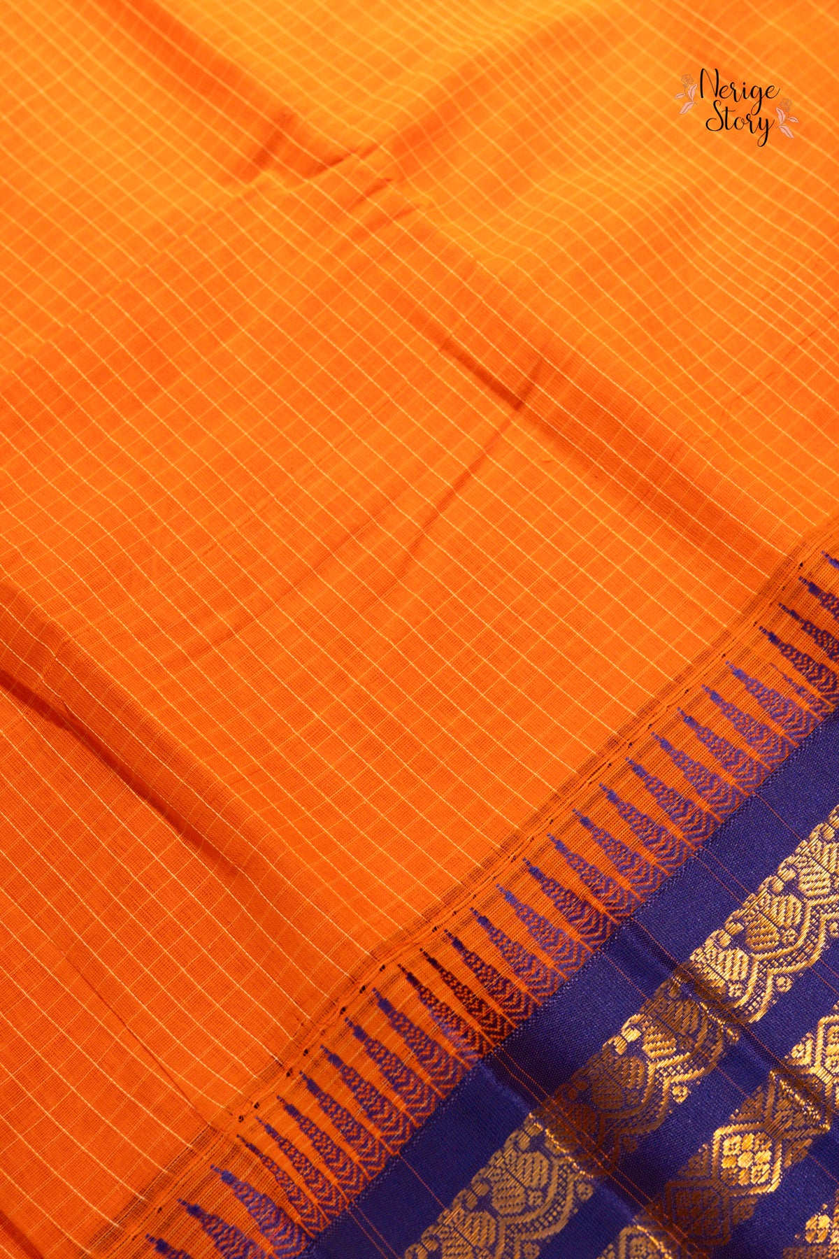 DAKSHAYANI (దాక్షాయణి)