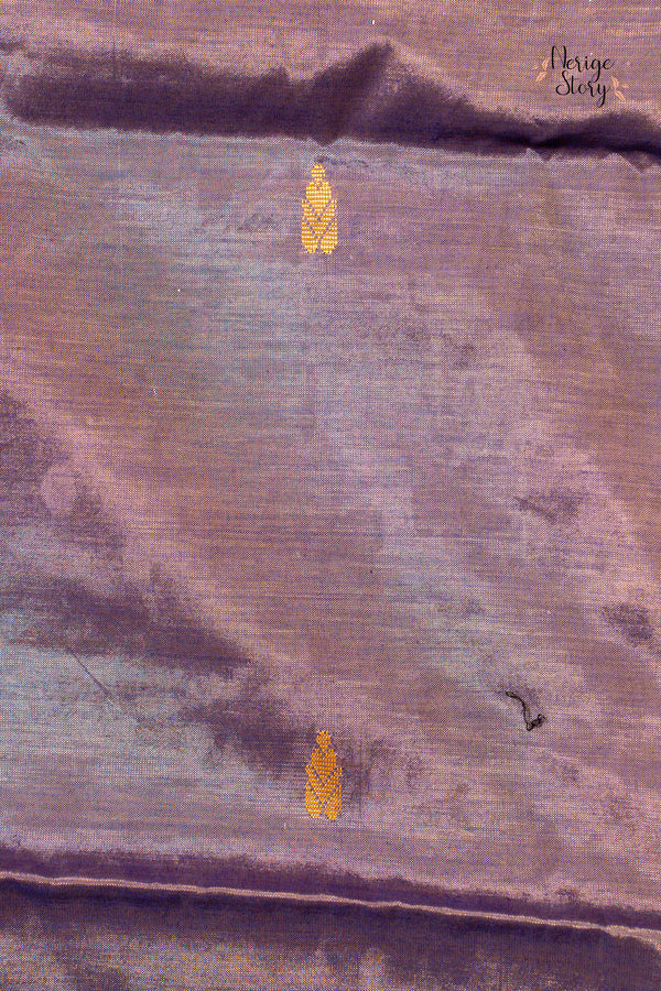 Saree - 79