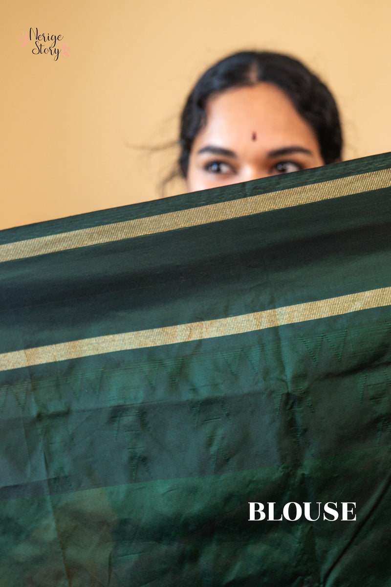 NAYANA SREE (ನಯನ ಶ್ರೀ)