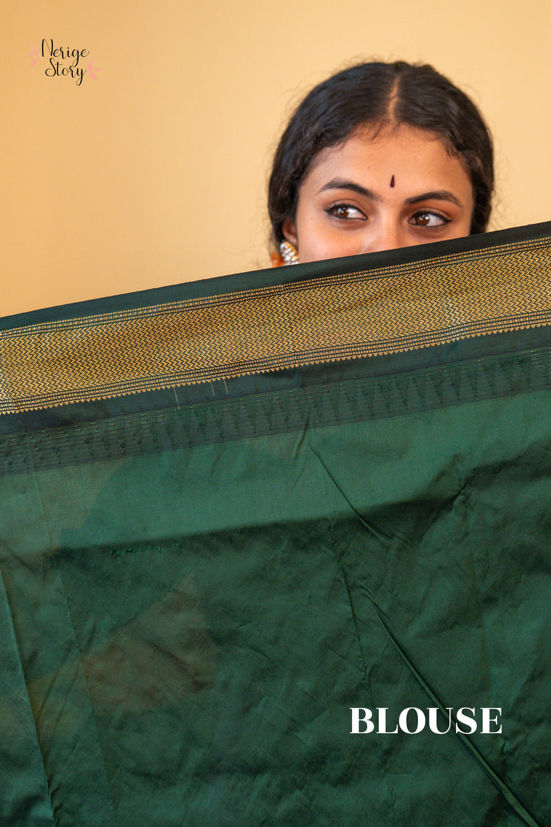 TANVIKA SREE (ತನ್ವಿಕಾ ಶ್ರೀ)