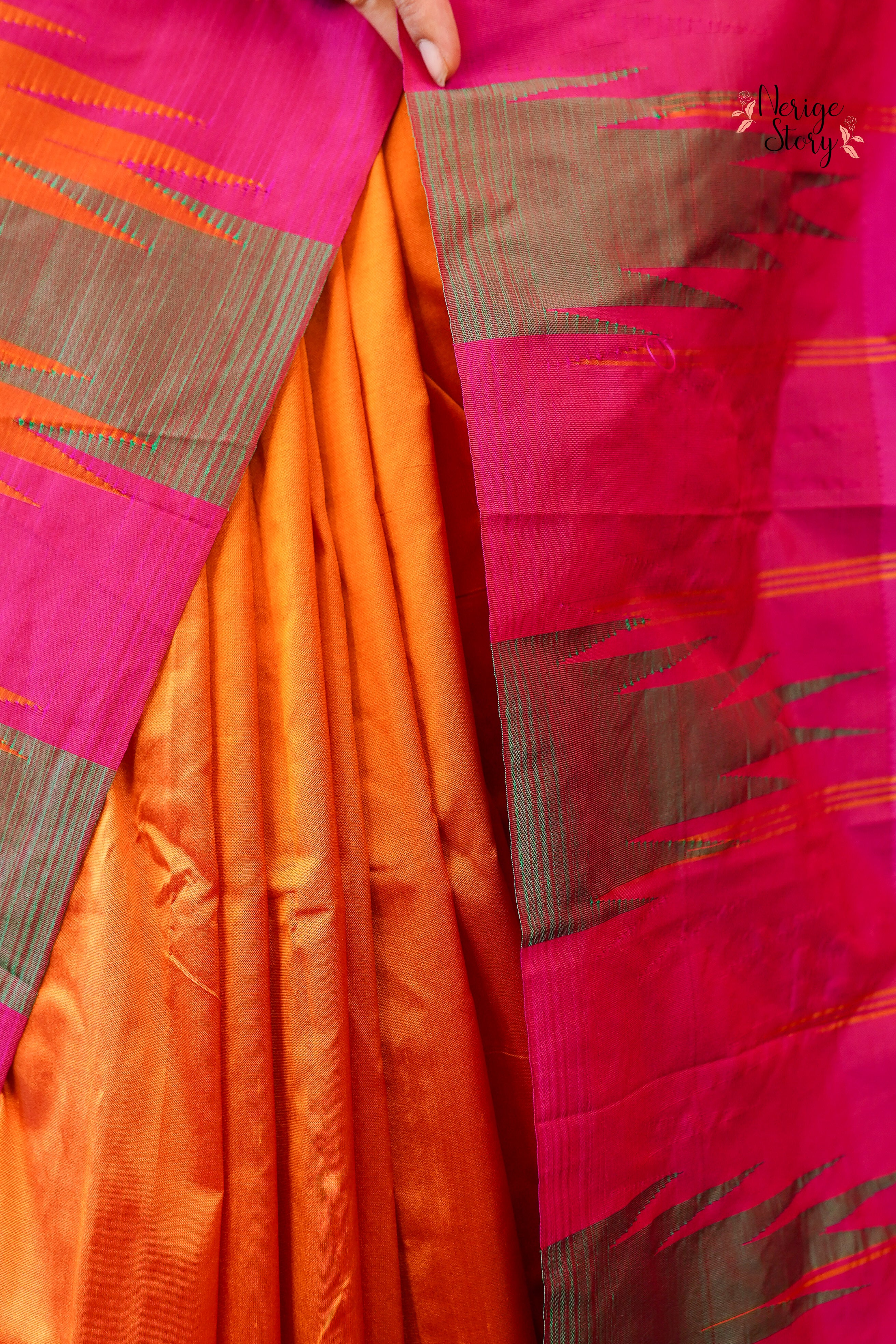 CHETASWINI (ಚೇತಸ್ವಿನಿ)
