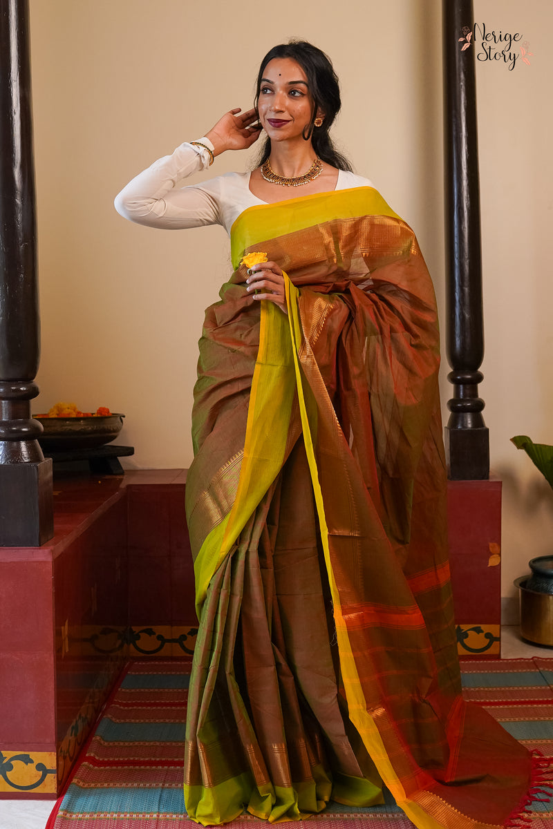 GANDHARI (गांधारी)