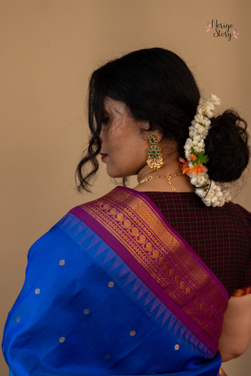 VISHWAPRABHAVATI (విశ్వప్రభావతి)