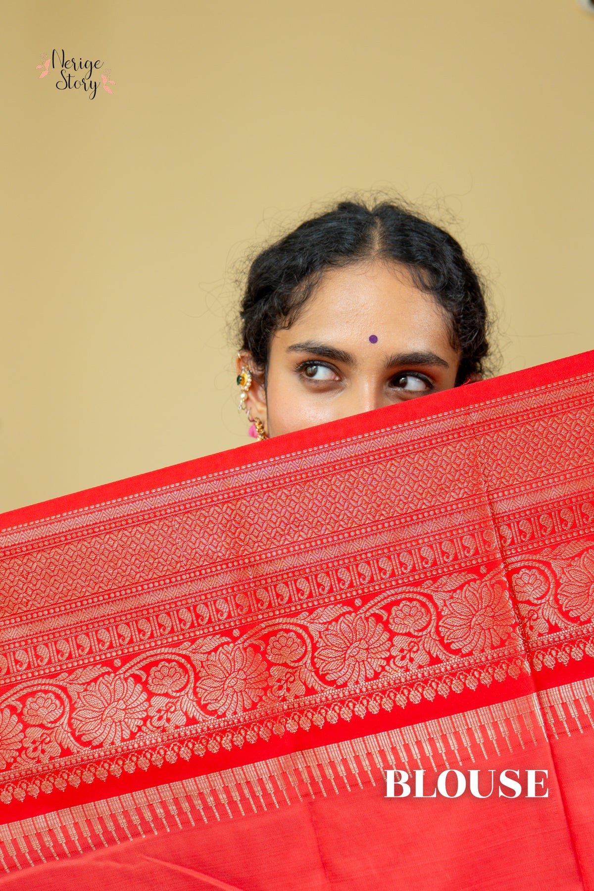 BHAVINYA (भाविन्या)