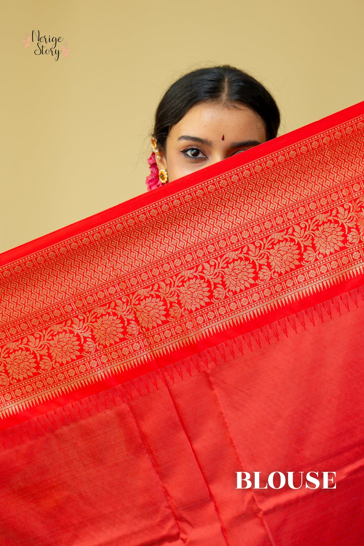 AMEYA (अमेया)