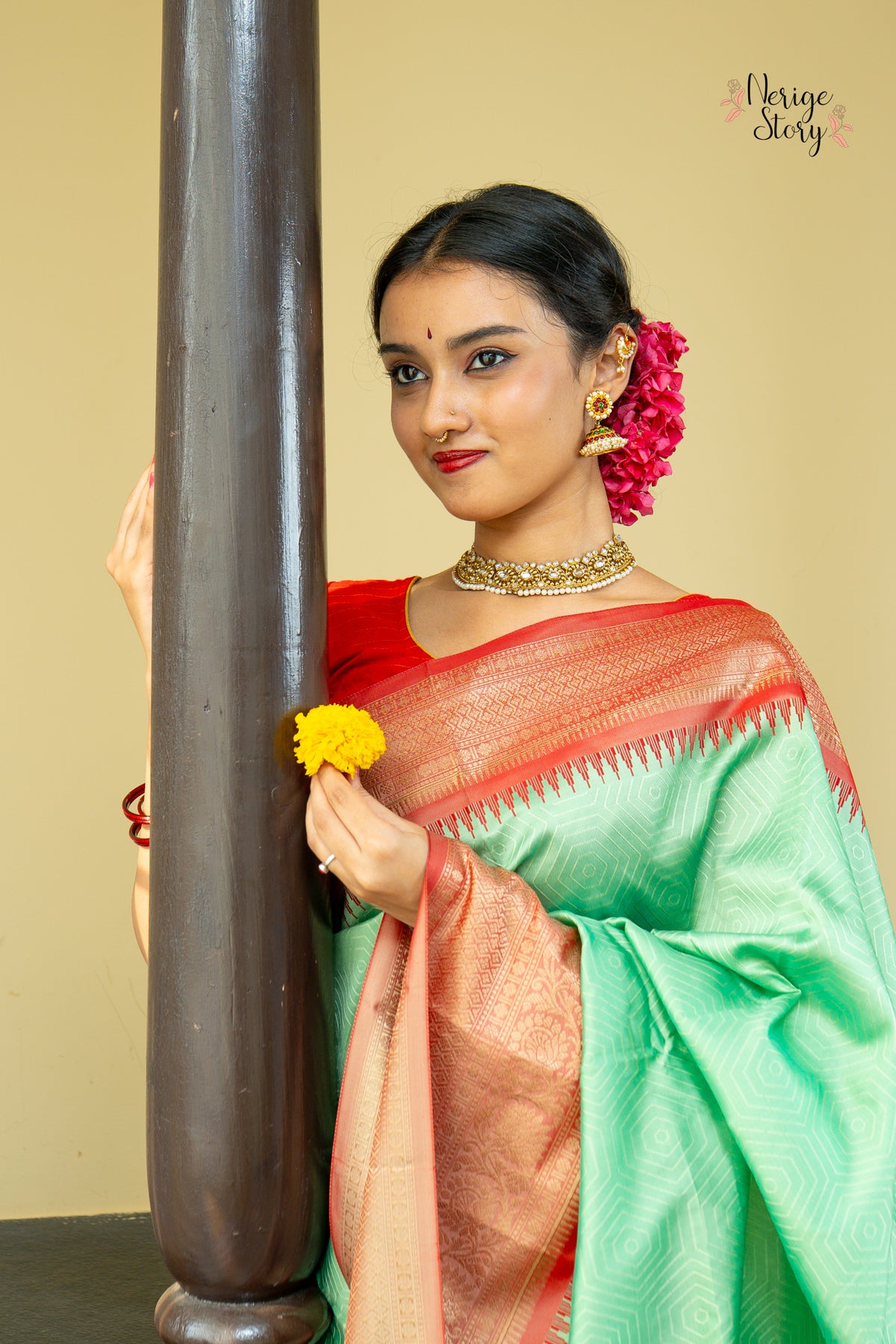 AMEYA (अमेया)