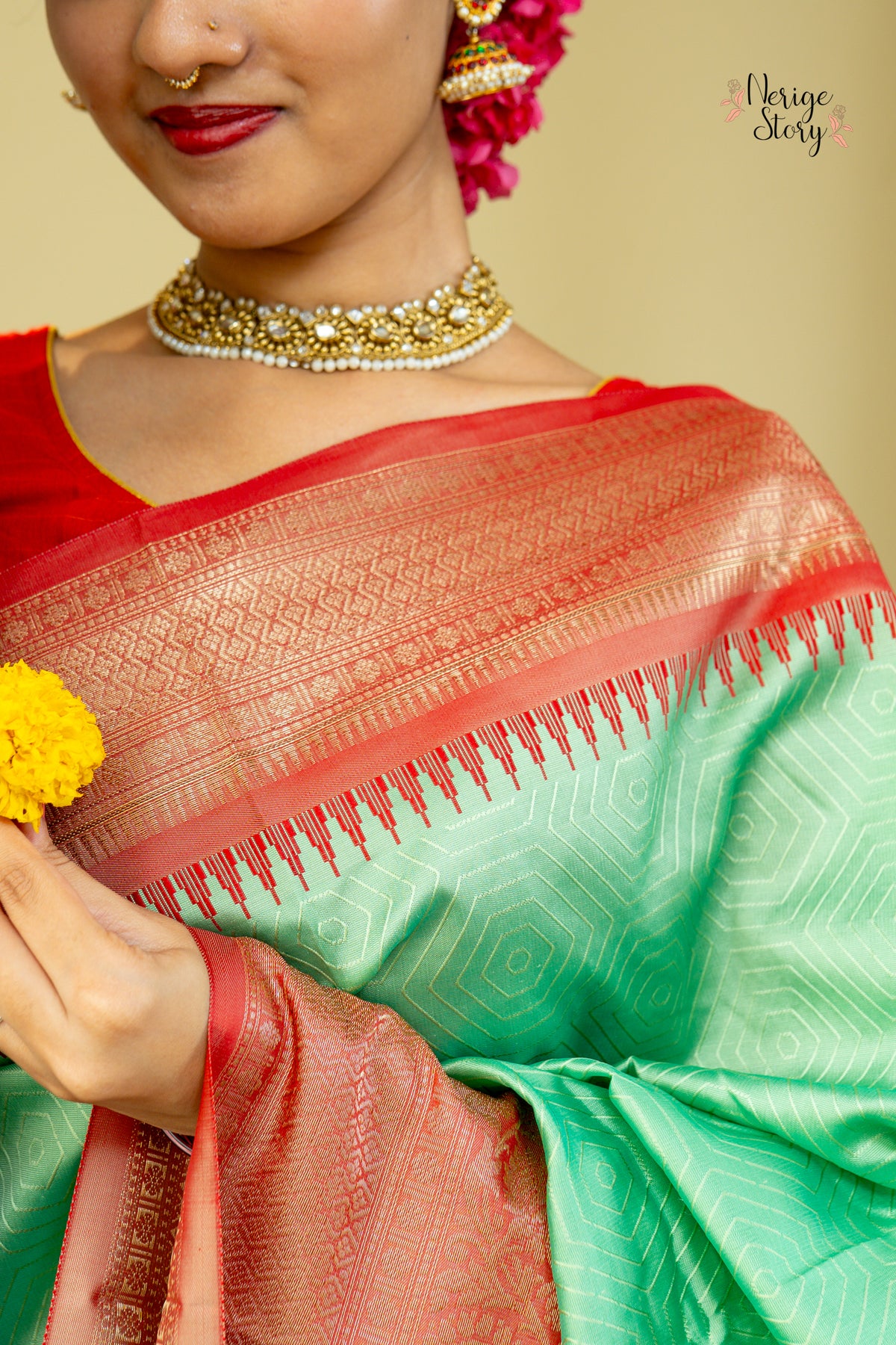 AMEYA (अमेया)