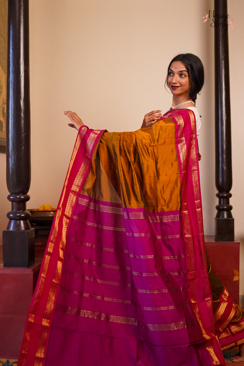 PHALGUNI (பல்குணி)