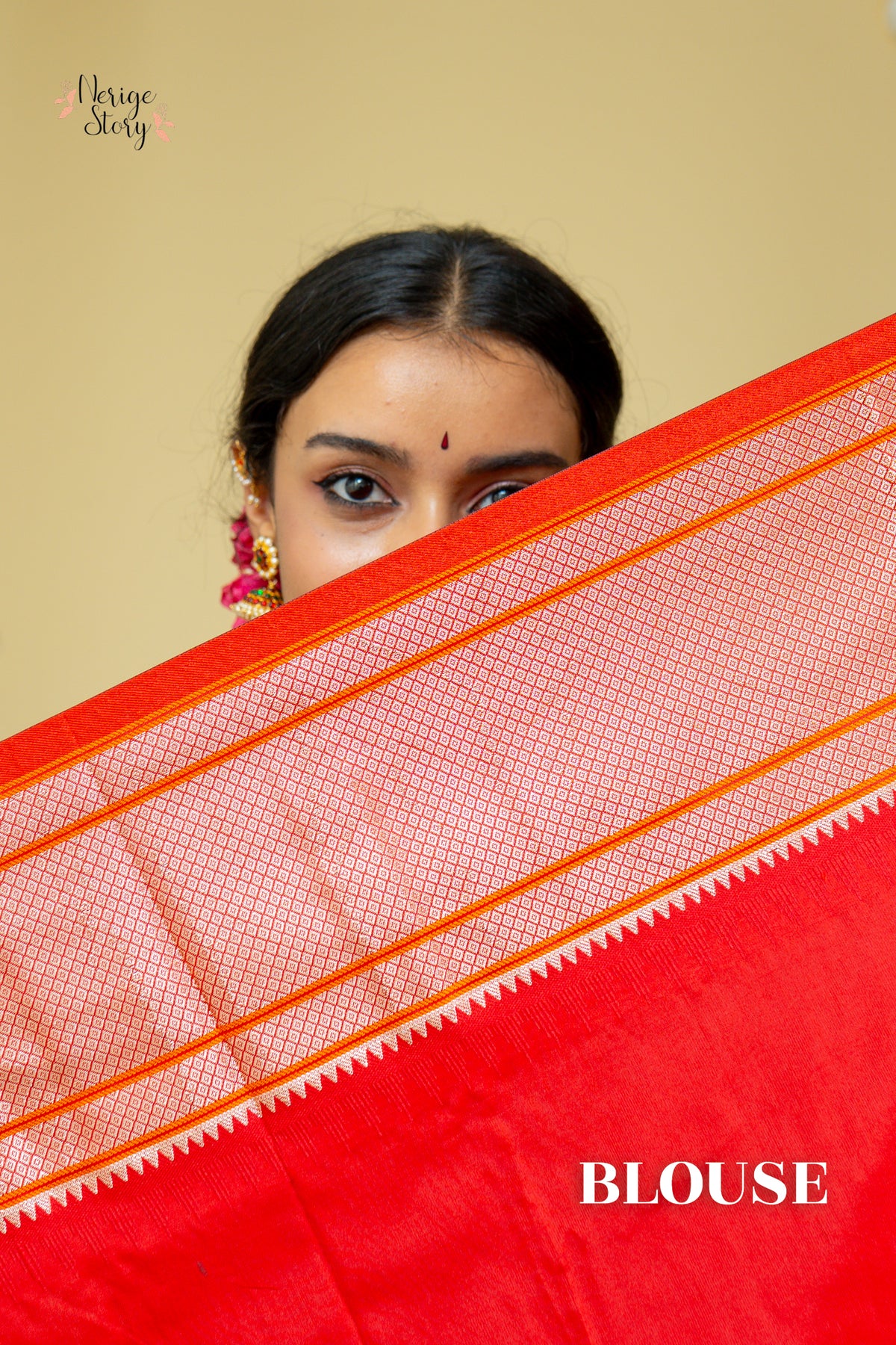 SADHVI (साध्वी)