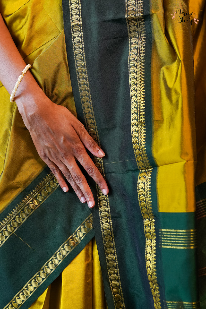 VRUSHALI (वृषाली)
