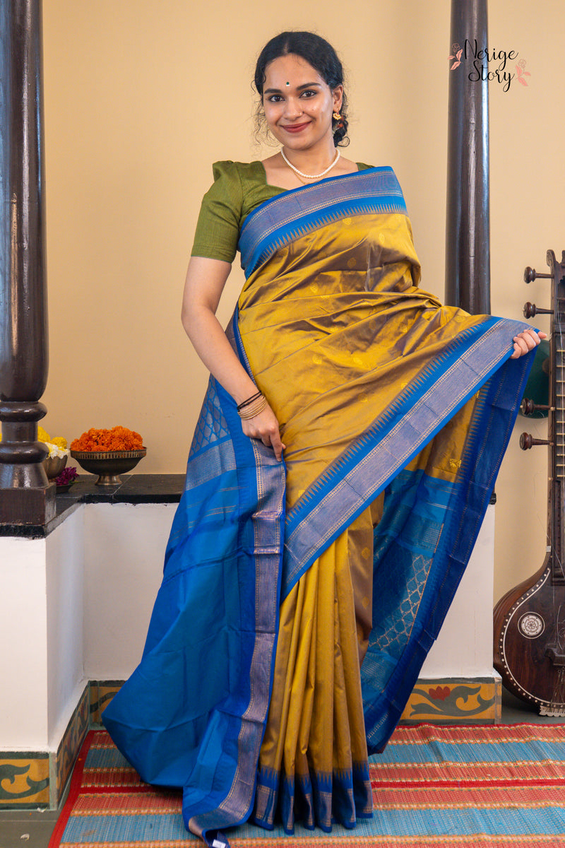DIVYANI (ದಿವ್ಯಾನಿ)