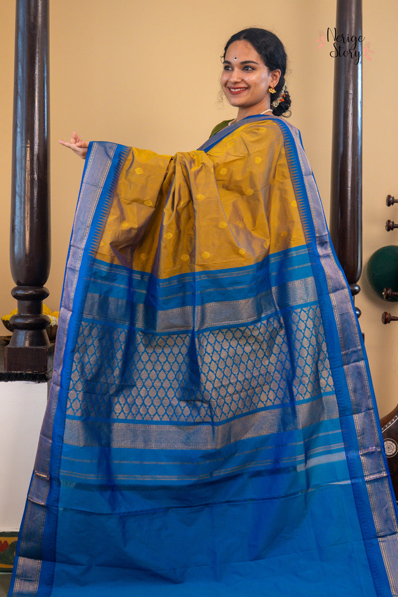 DIVYANI (ದಿವ್ಯಾನಿ)