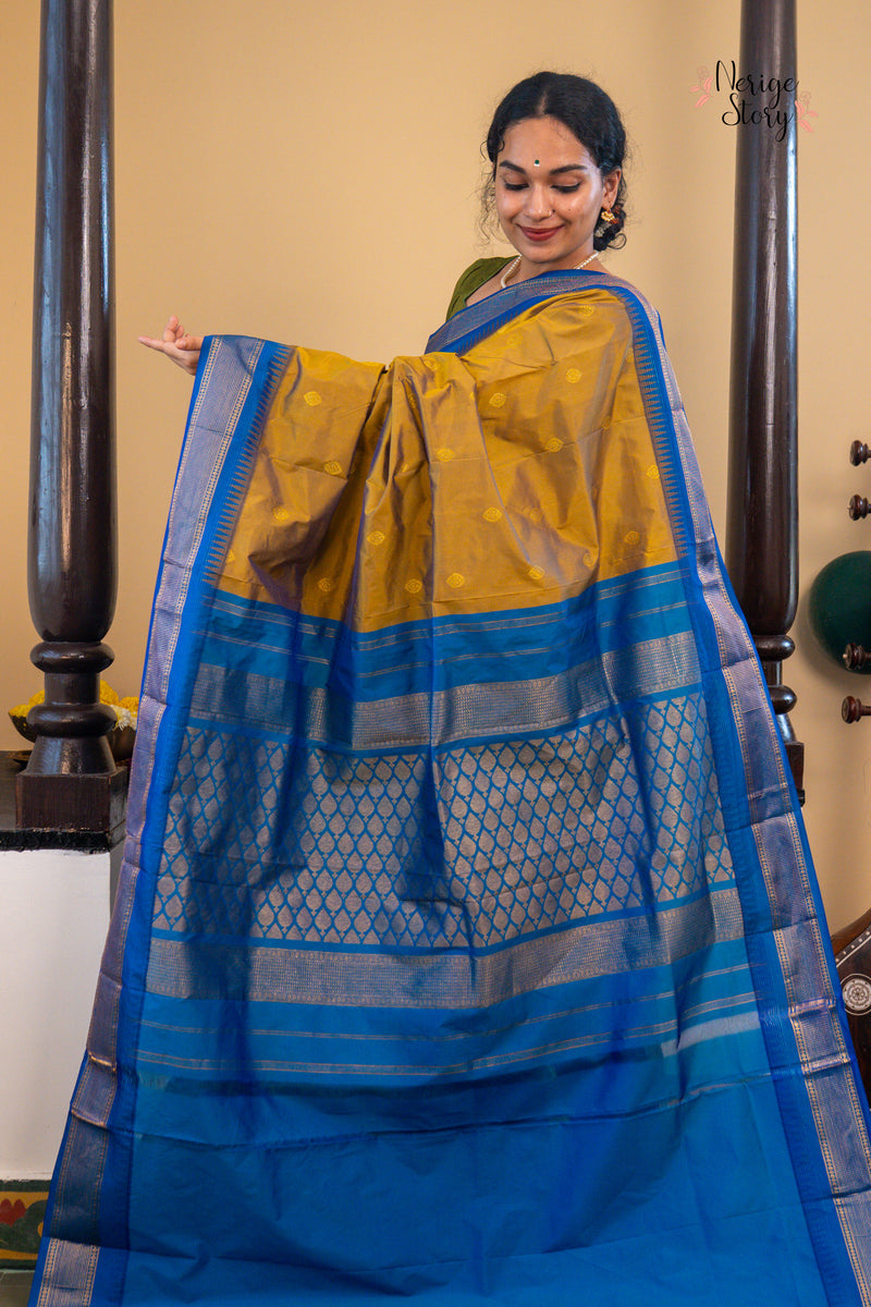 DIVYANI (ದಿವ್ಯಾನಿ)