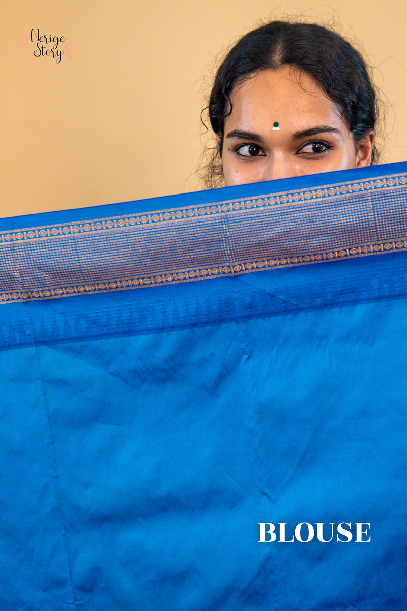DIVYANI (ದಿವ್ಯಾನಿ)