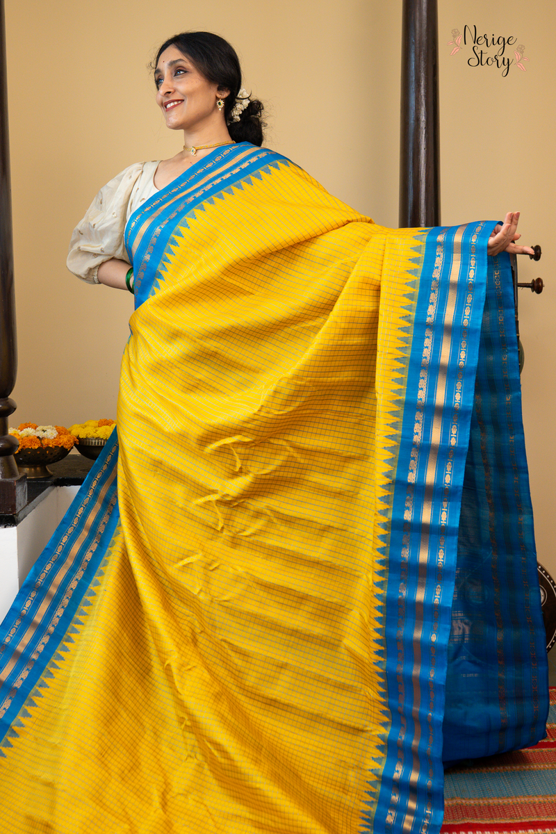 PATRAHARITAM (పత్రహరితం)