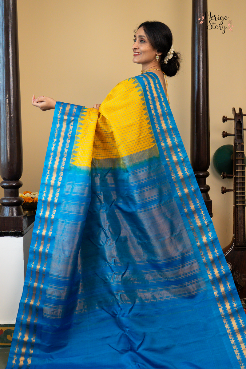 PATRAHARITAM (పత్రహరితం)