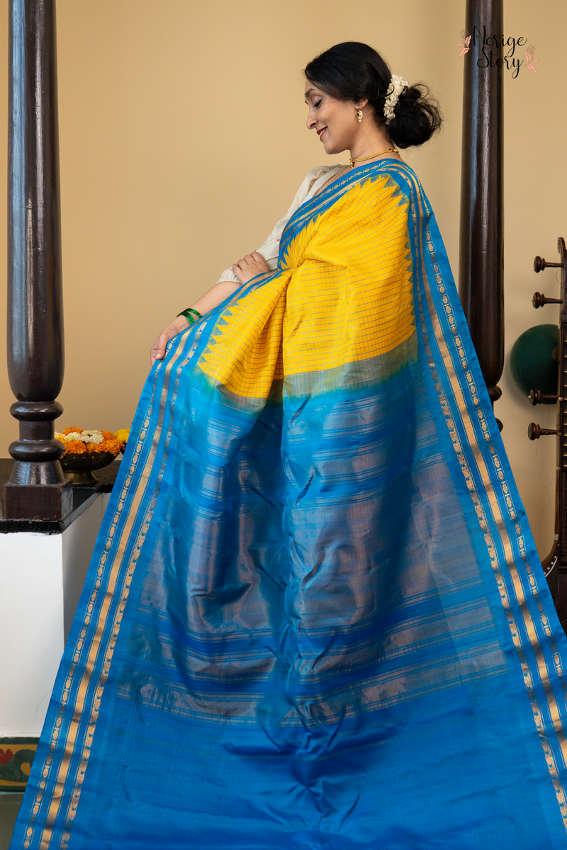 PATRAHARITAM (పత్రహరితం)