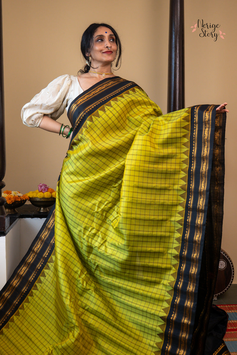 SANGAMAM (సంగమం)