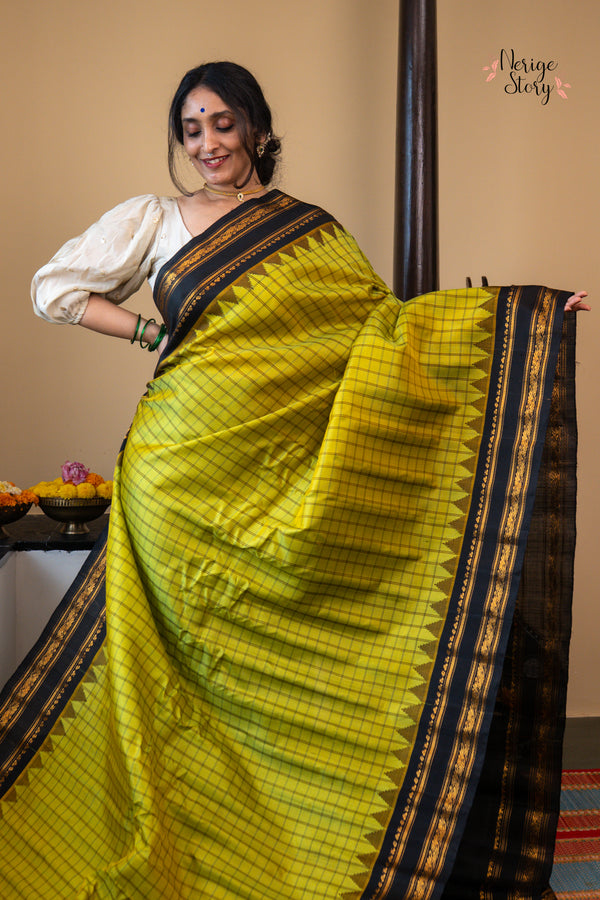 SANGAMAM (సంగమం)