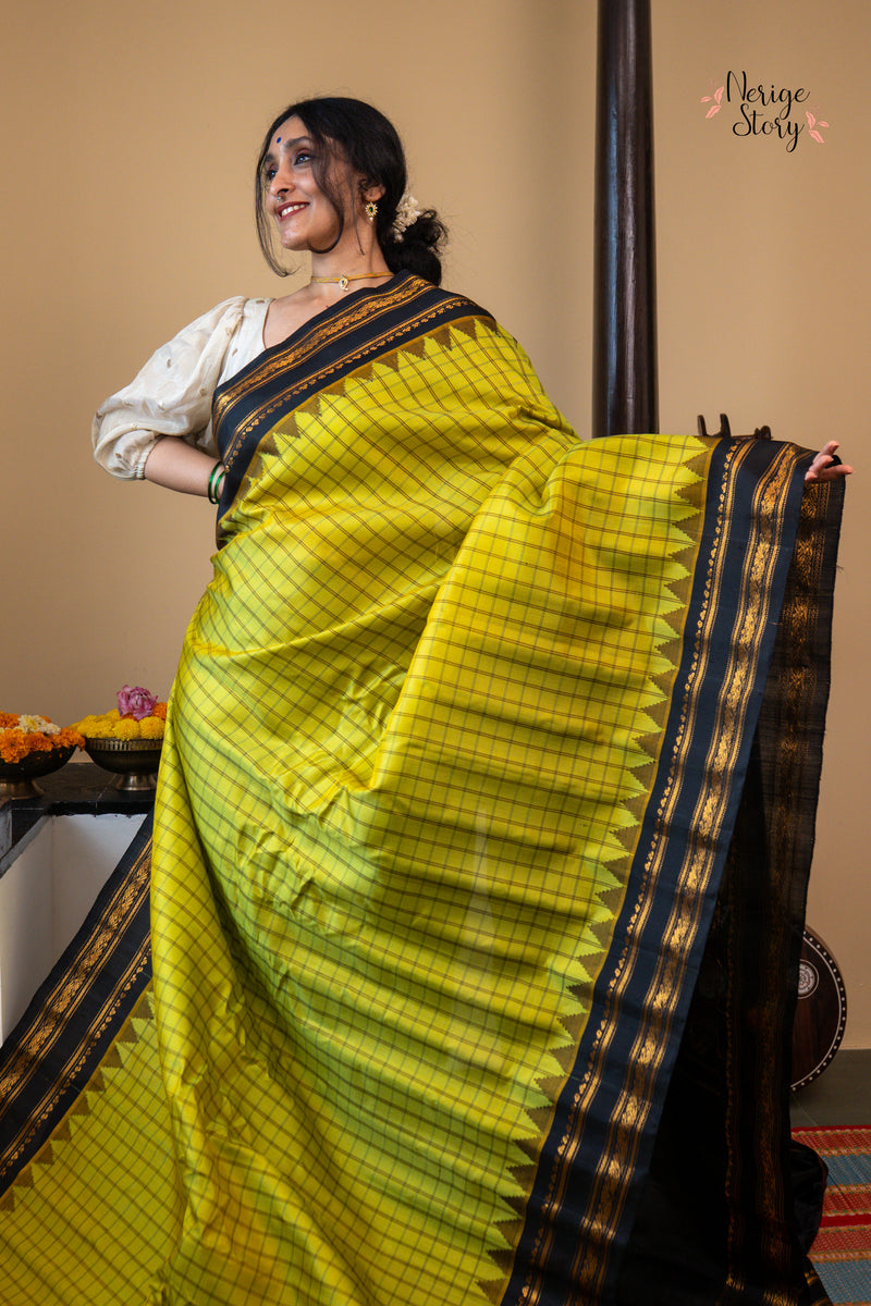 SANGAMAM (సంగమం)