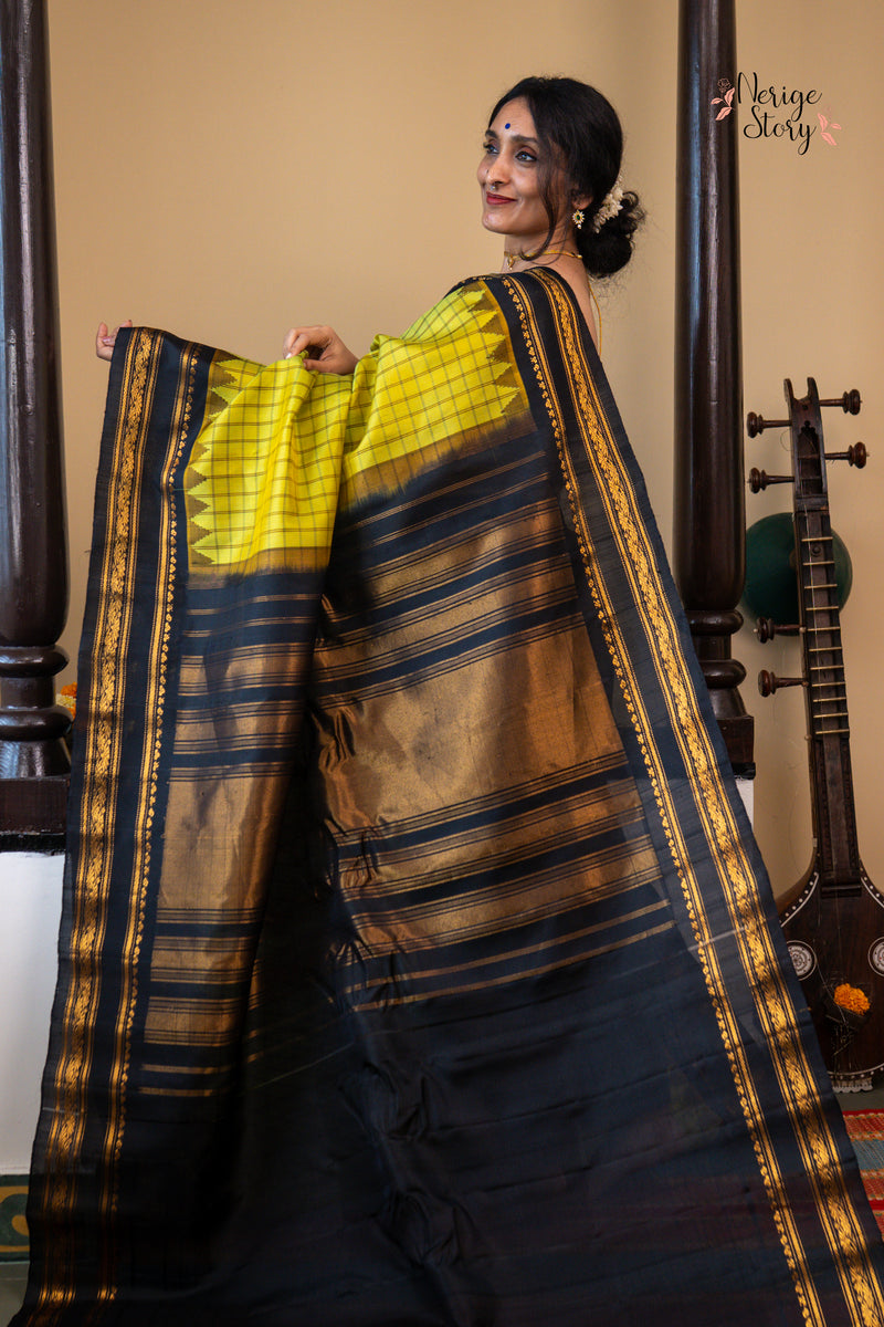 SANGAMAM (సంగమం)