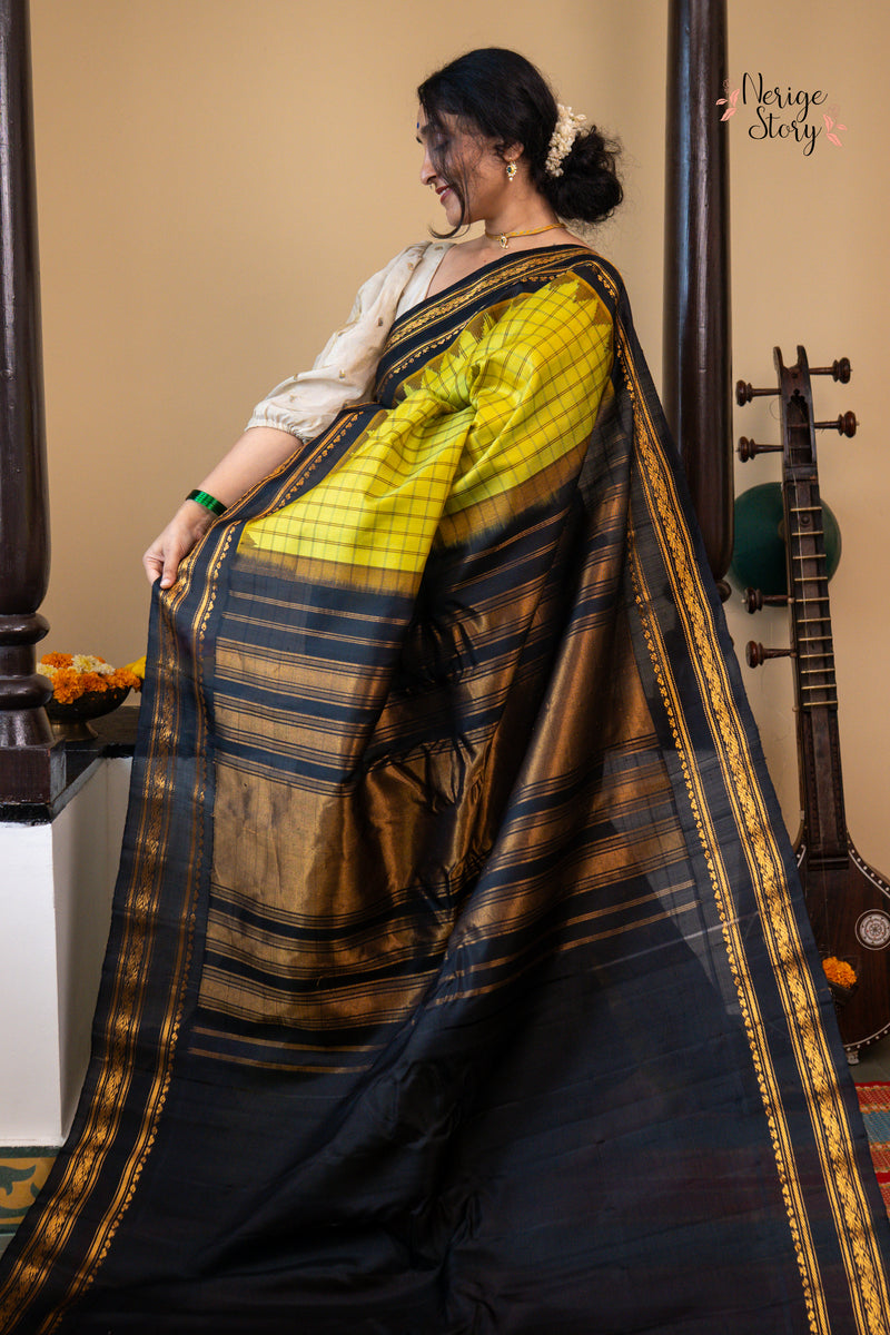 SANGAMAM (సంగమం)