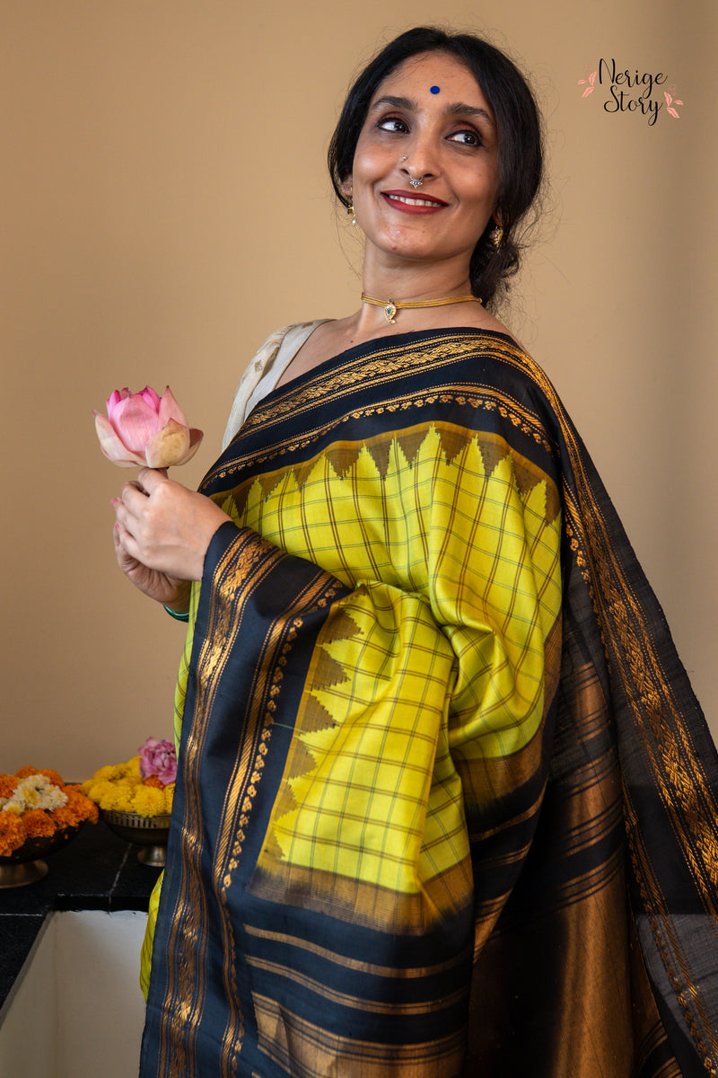SANGAMAM (సంగమం)