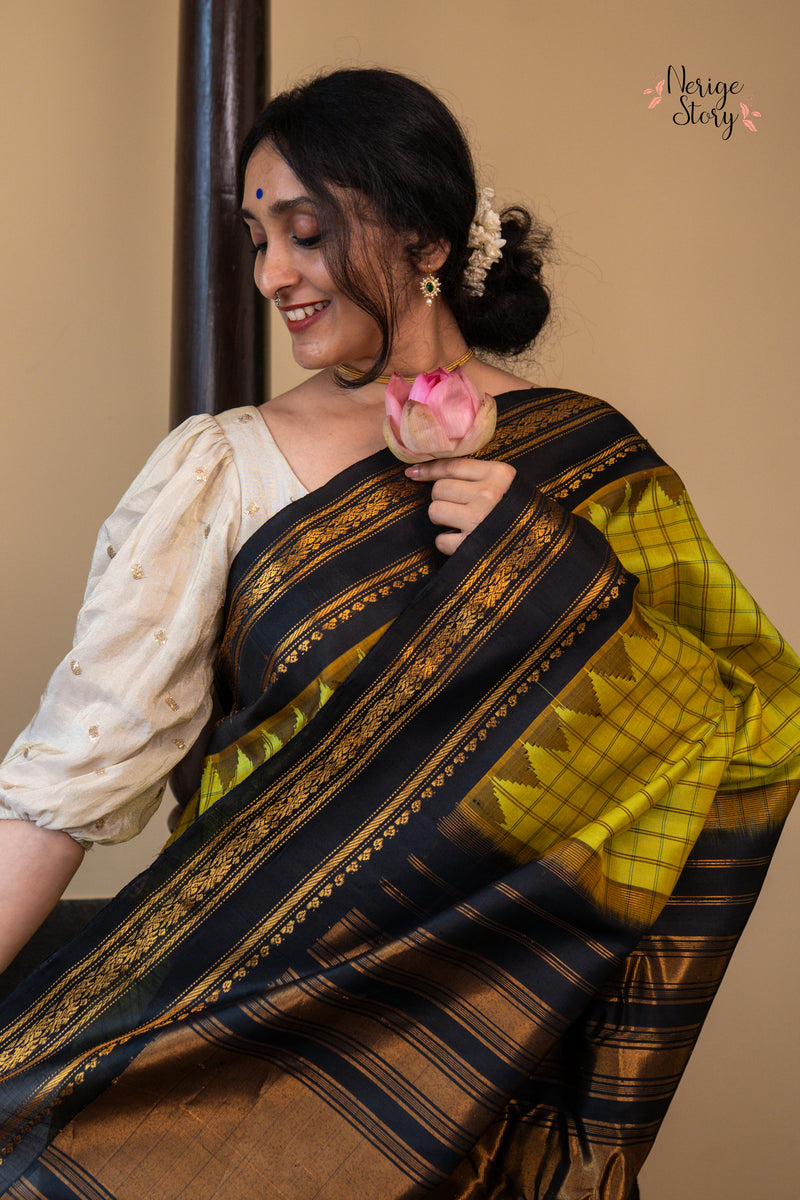 SANGAMAM (సంగమం)