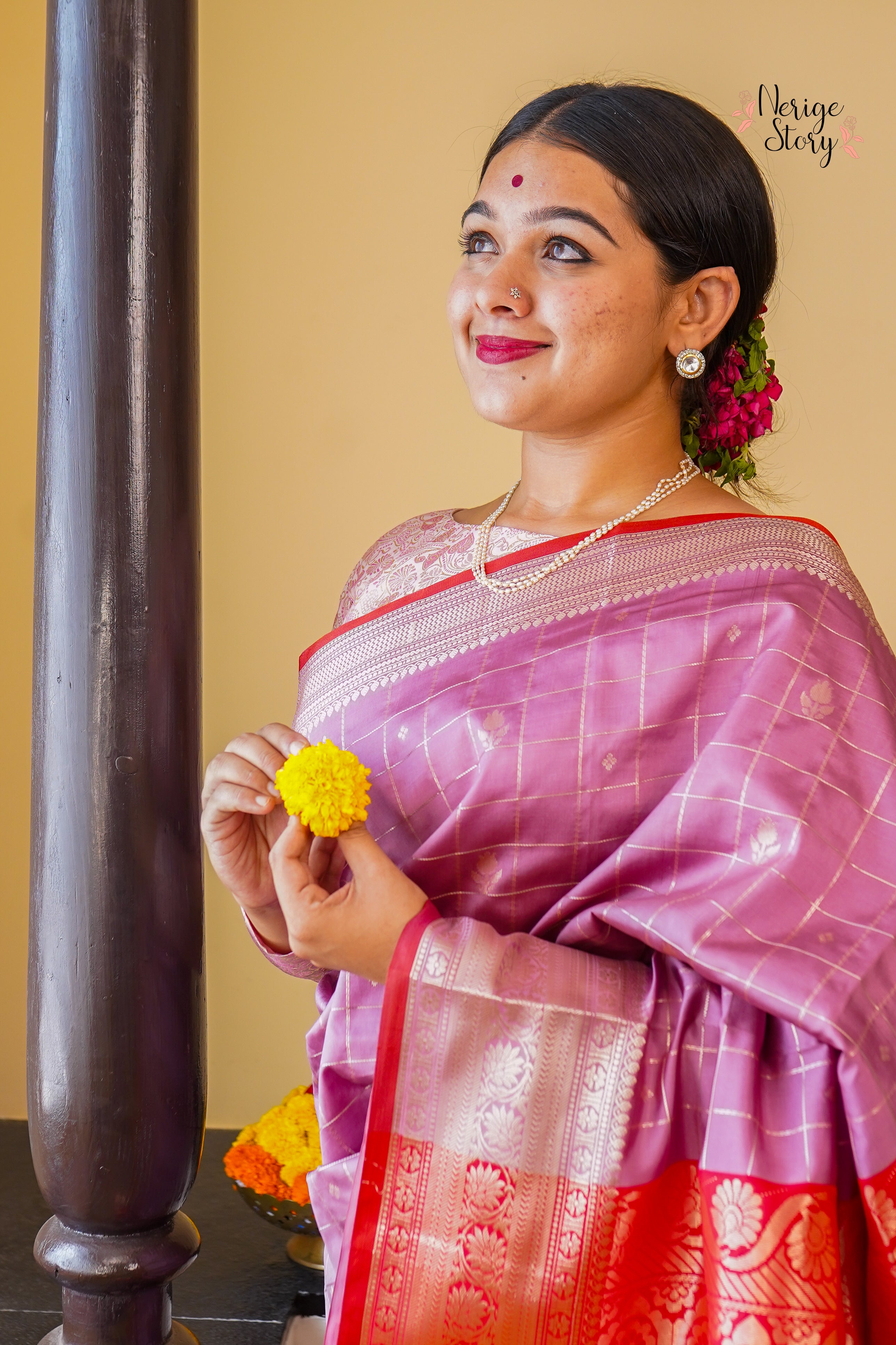 HEMA (हेमा)