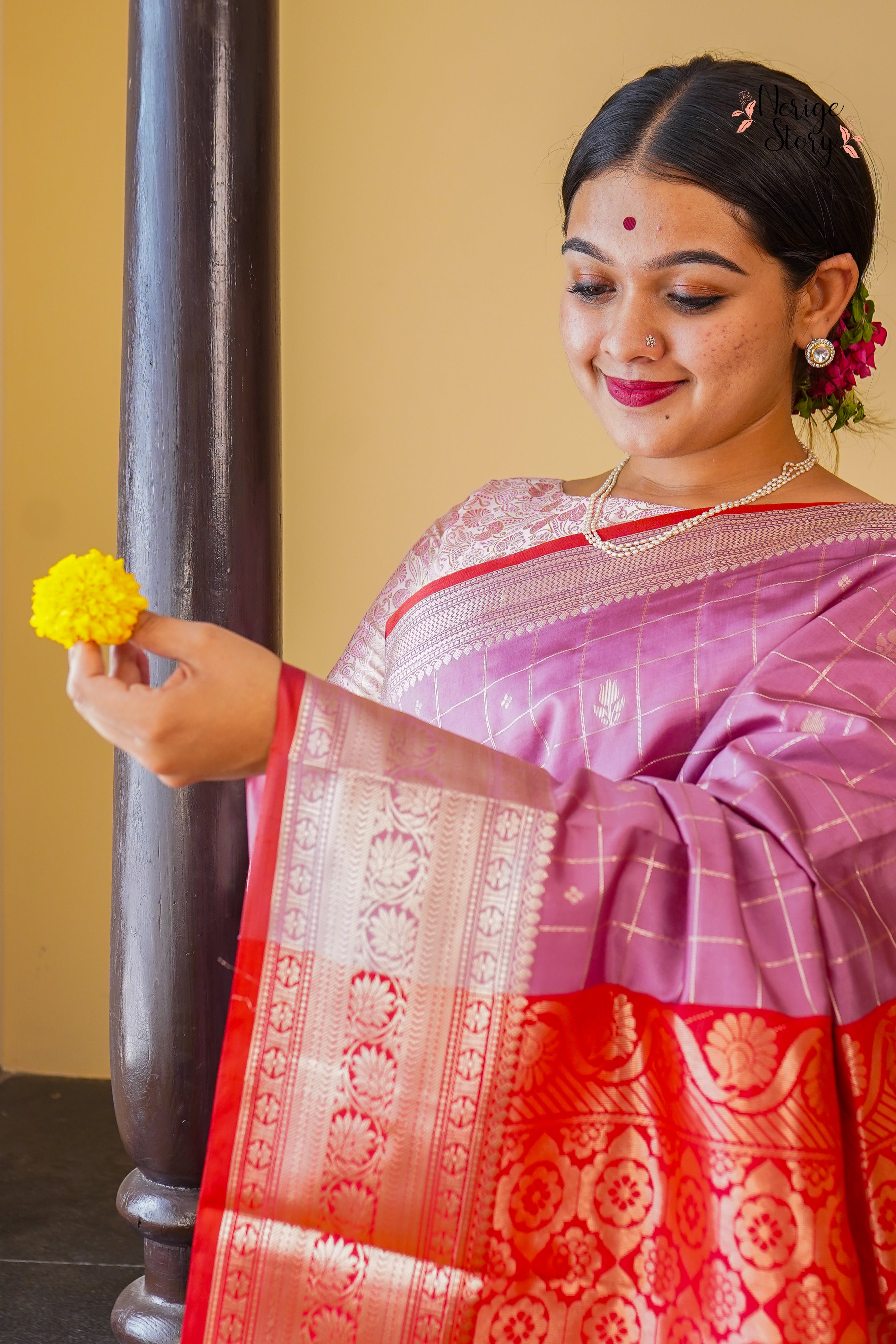 HEMA (हेमा)